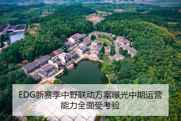 EDG新赛季中野联动方案曝光中期运营能力全面受考验